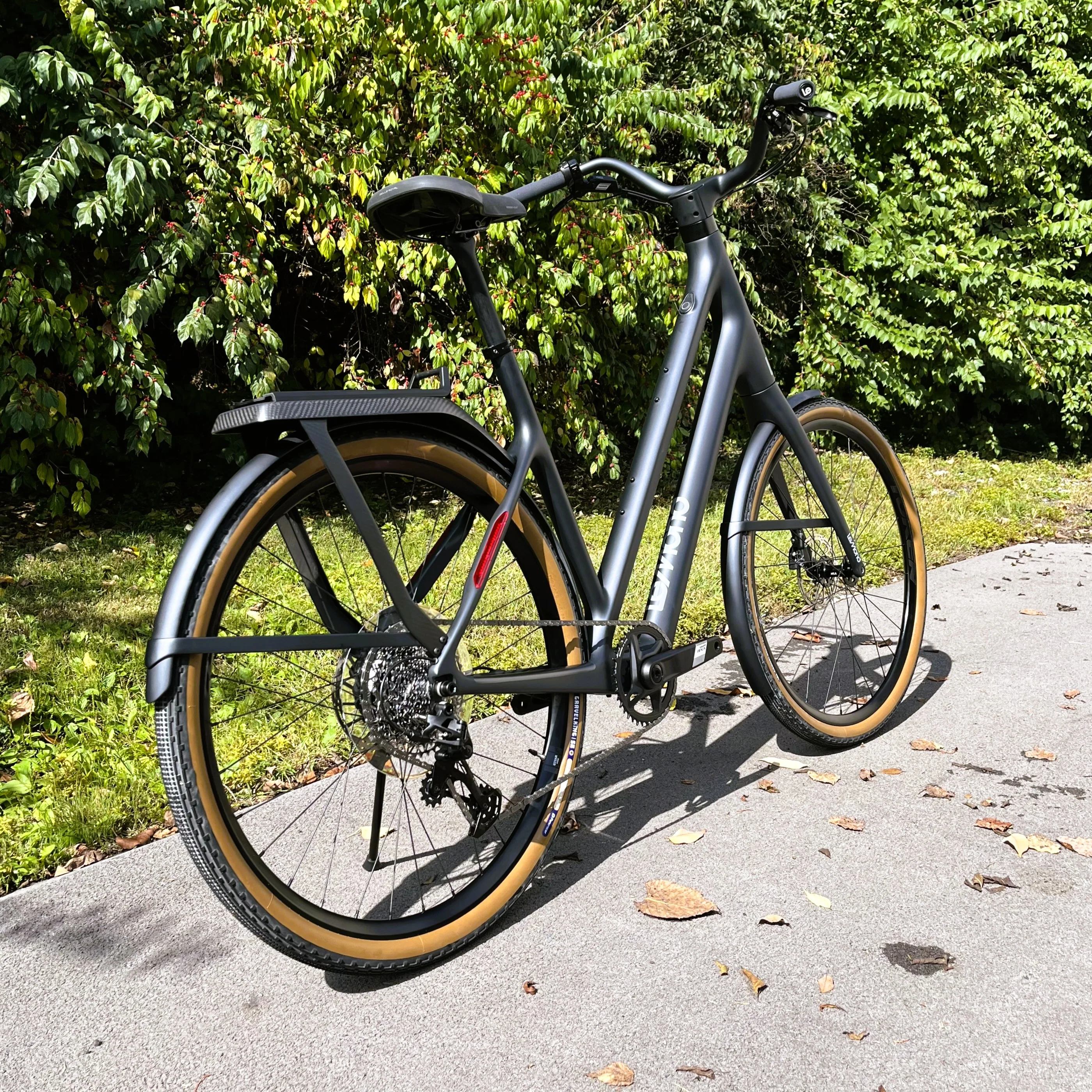 LeMond Carbon Fiber Rear Rack - Image 5